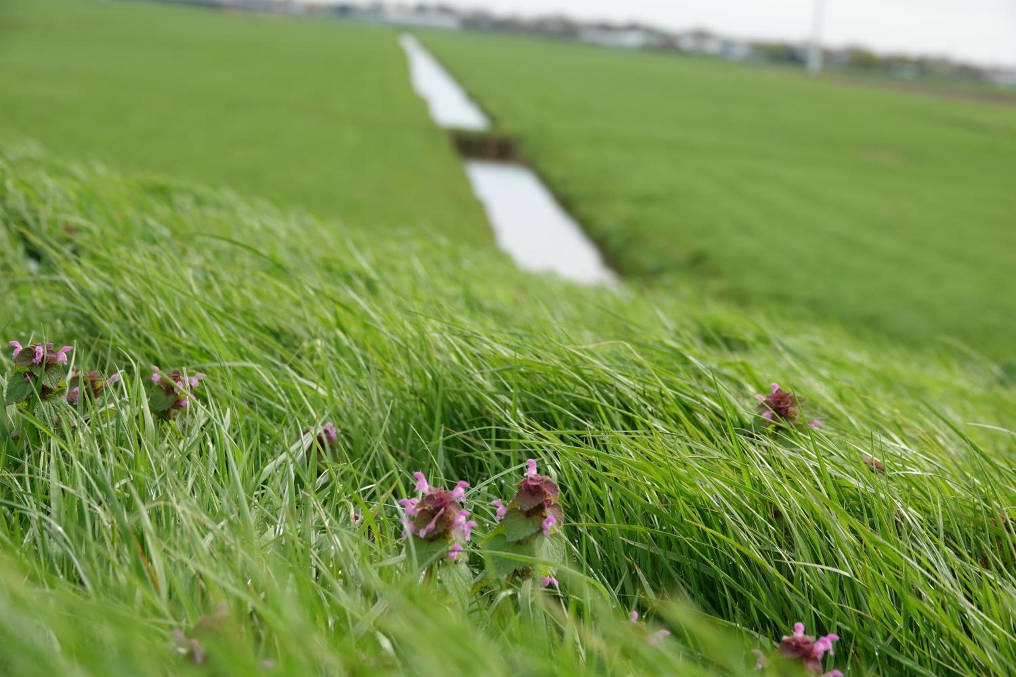 Mooi Vakantiehuis Prachtig Gelegen Aan Het Water Rijpwetering 外观 照片
